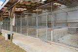 3650 Hogback Road - Photo 59