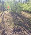 00000 Blue Jay Way Lane - Photo 1