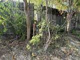 1888 Mccartney Avenue - Photo 11