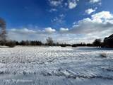 1115 & 1117 Carrie Lynn Drive - Photo 4