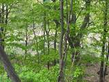 Lot 20 E Heights - Photo 5