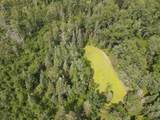 2503 Sharboneau Road - Photo 31