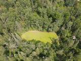 2503 Sharboneau Road - Photo 32
