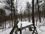 12871 Michigan 33 - Photo 31
