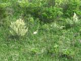 Bunkerhill Road - Photo 29