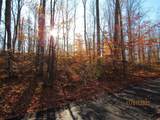4181 Maple Hill Road - Photo 8
