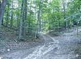 4181 Maple Hill Road - Photo 9