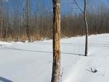 V/L Cade Rd Road - Photo 25