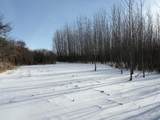 V/L Cade Rd Road - Photo 37