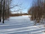 V/L Cade Rd Road - Photo 40