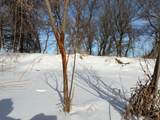 V/L Cade Rd Road - Photo 42