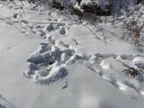 V/L Cade Rd Road - Photo 46