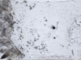 5120 Five Mile Road - Photo 10