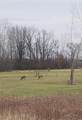 5120 Five Mile Road - Photo 13