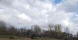 5120 Five Mile Road - Photo 15