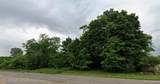 0 S Saginaw / Pepperwood Street - Photo 3