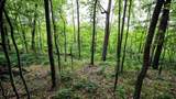 VL Mud Lake Rd - Photo 41