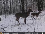 VL Mud Lake Rd - Photo 46