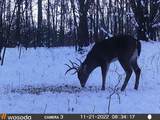VL Mud Lake Rd - Photo 48