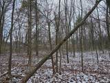 V/L Bronson Avenue - Photo 29