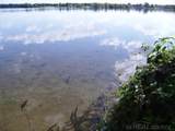25455 Island View Lane - Photo 8