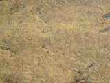 25455 Island View Lane - Photo 9