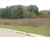 0000 Birch Meadows Lane - Photo 3