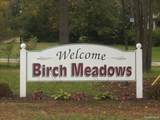 0000 Birch Meadows Lane - Photo 4