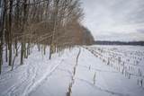 V/L Johnson Road - Photo 18