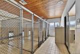 2551 Patterson Lake Road - Photo 79