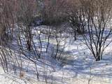 00 Miller Road - Photo 14