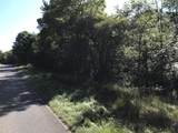 37111 Paw Paw Road - Photo 3