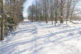 3873 136th Street - Photo 16