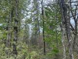 VL Mt. Vernon Avenue - Photo 11