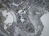 5100 Long Lake Road - Photo 14
