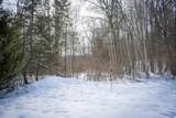 5100 Long Lake Road - Photo 43