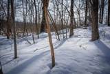 5100 Long Lake Road - Photo 51