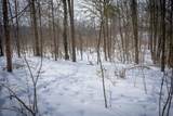 5100 Long Lake Road - Photo 58