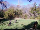 5100 Long Lake Road - Photo 6