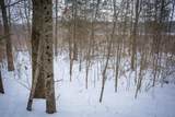 5100 Long Lake Road - Photo 65