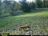 5100 Long Lake Road - Photo 79
