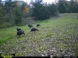 5100 Long Lake Road - Photo 80