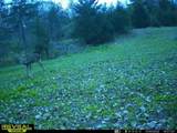 5100 Long Lake Road - Photo 81
