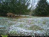 5100 Long Lake Road - Photo 83