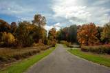 6850 Nature Lane - Photo 3