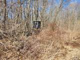 Lot #12 Kunstman Road - Photo 5