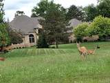 lot 21 Burlwood Circle - Photo 13