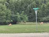 lot 21 Burlwood Circle - Photo 15