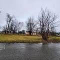 2193 Saint Joseph Street - Photo 6