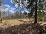 4233 Hardacre Trail - Photo 17